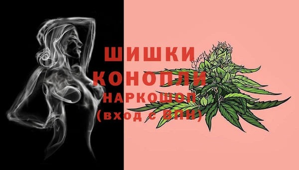 spice Кукмор